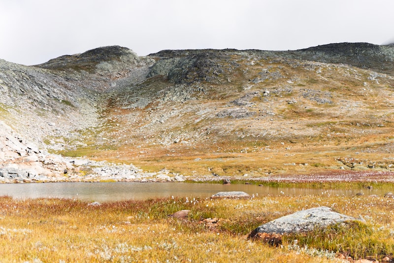 Sile'da Hiking ve Doğa Yürüyüşleri Sile'da Hiking ve Doğa Yürüyüşleri