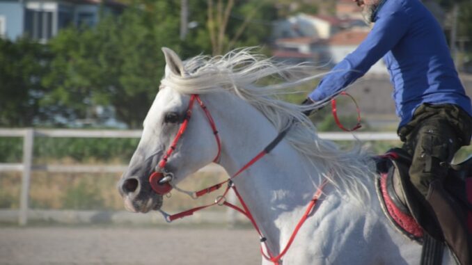 uploaded-image-sileda-spor-turnuvalari-1697806589440