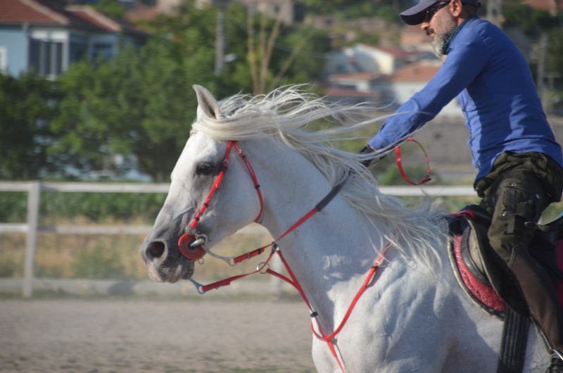 Sile'da Spor Turnuvaları Sile'da Spor Turnuvaları